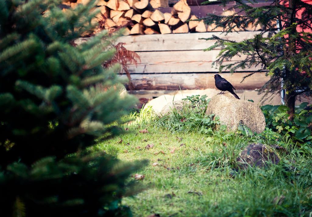 Willa Weronika Zakopane Exteriör bild